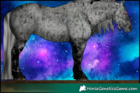 Horse Color:ERROR: UNKNOWN ANOMALY and ERROR: UNKNOWN ANOMALY