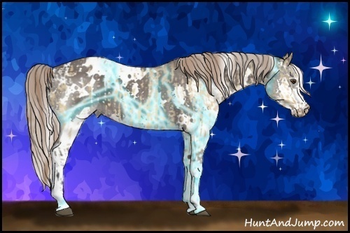 Horse Color:Buckskin Dun Sabino Tobiano Appaloosa  and Thunderstruck White Spotted Silver Black Sabino Splash 