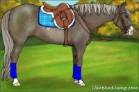 Horse Color:Chocolate Palomino Sabino 