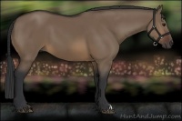Horse Color:Brown Dun