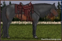 Horse Color:Brown Rabicano and Brown Rabicano