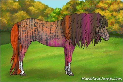 Horse Color:Black and Classic Champagne