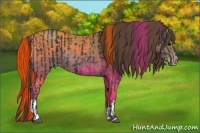 Horse Color:Black  and Classic Champagne 