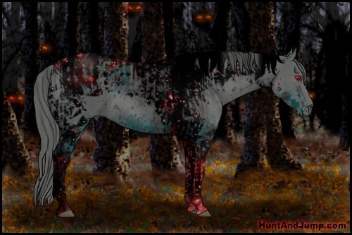 Horse Color:ERROR: UNKNOWN ANOMALY and ERROR: UNKNOWN ANOMALY