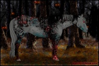 Horse Color:ERROR: UNKNOWN ANOMALY and ERROR: UNKNOWN ANOMALY