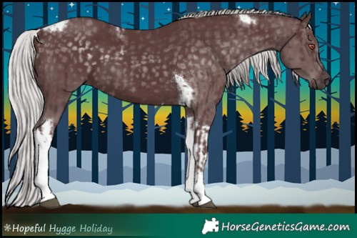Horse Color:Chocolate Silver Black Chinchilla Tobiano and Chocolate Silver Black Chinchilla Tobiano
