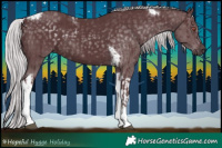 Horse Color:Chocolate Silver Black Chinchilla Tobiano  and Chocolate Silver Black Chinchilla Tobiano 