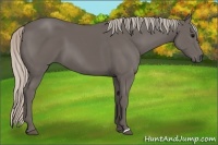 Horse Color:Silver Black