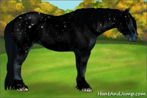 Horse Color:ERROR: UNKNOWN ANOMALY