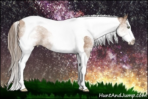 Horse Color:White Spotted Black Pearl Splash Tobiano 