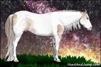 Horse Color:White Spotted Black Pearl Splash Tobiano