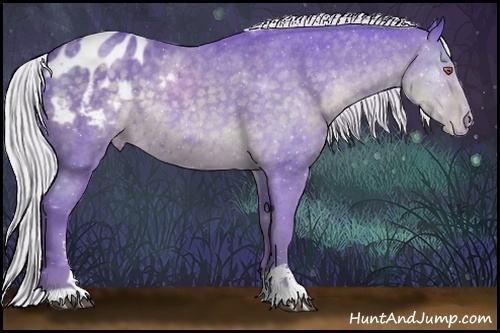 Horse Color:Watercolor Silver Black Chinchilla Sabino Appaloosa 