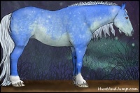 Horse Color:Watercolor Silver Blue Chinchilla Roan Rabicano