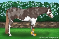 Horse Color:Liver Red Roan Sabino Splash Varnish  and Liver Red Roan Sabino Splash Varnish 