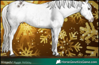 Horse Color:White Spotted Liver Chestnut Mushroom Sabino Appaloosa and Liver Chestnut Mushroom Sabino Appaloosa