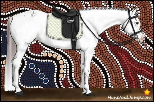 Horse Color:Bay Sabino Splash Appaloosa and Bay Sabino Splash Appaloosa Rabicano