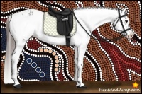 Horse Color:Bay Sabino Splash Appaloosa  and Bay Sabino Splash Appaloosa Rabicano 