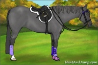 Horse Color:Smoky Blue Roan 