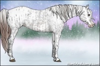 Horse Color:Brown Roan Sabino Splash Appaloosa  and Brown Roan Sabino Splash Appaloosa Rabicano 