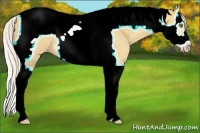 Horse Color:Silver Classic Champagne Dun Splash Tobiano Frame 
