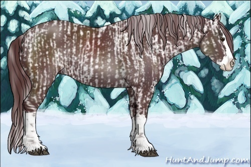 Horse Color:Chocolate Black Chinchilla Mushroom Sabino Splash Snowflake Varnish  and Chocolate Black Chinchilla Mushroom Sabino Splash 