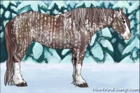 Horse Color:Chocolate Black Chinchilla Sabino Splash Appaloosa  and Chocolate Black Chinchilla Sabino Splash 