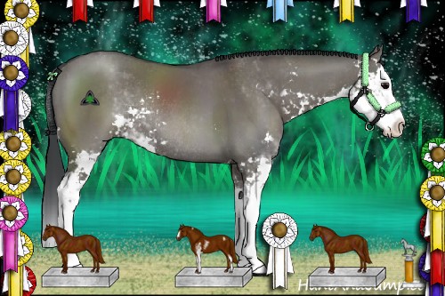 Horse Color:Grullo Sabino Splash Rabicano 