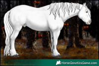 Horse Color:Bay Chinchilla Onyx Sabino Splash Appaloosa  and Blue Onyx Chinchilla Sabino Splash Appaloosa 