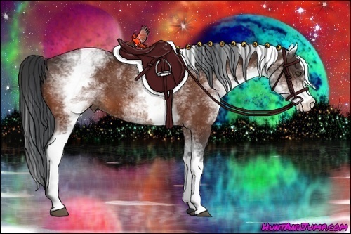 Horse Color:White Spotted Bay 