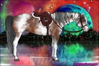 Horse Color:White Spotted Bay 