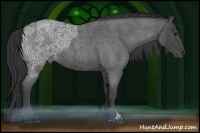 Horse Color:Blue Ice Roan Sabino 