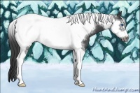 Horse Color:Smoky Black Tobiano Frame 