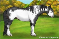 Horse Color:Brown Frame Rabicano