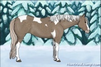 Horse Color:Silver Grullo Splash Tobiano