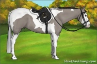 Horse Color:Grullo Splash Tobiano 