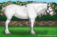 Horse Color:Liver Chestnut Sabino Splash Blanket