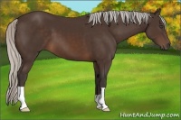 Horse Color:Silver Brown 