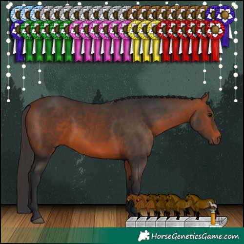 Horse Color:Brown Rabicano 