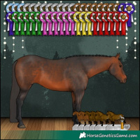 Horse Color:Brown Rabicano