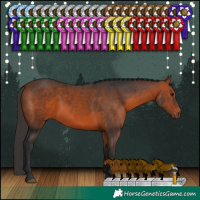 Horse Color:Brown Rabicano 