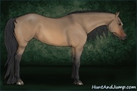Horse Color:Bay Roan Dun 