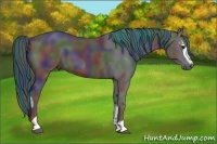 Horse Color:Painted Nacre White Spotted Black and Painted Nacre Black Sabino