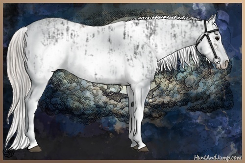 Horse Color:Black Sabino  and Silver Black Sabino 