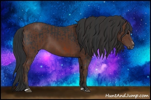 Horse Color:Brown Sabino Rabicano  and Bay Sabino Rabicano 