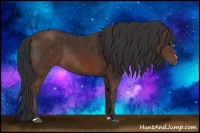 Horse Color:Brown Sabino Rabicano and Bay Sabino Rabicano
