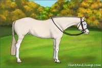 Horse Color:White Spotted Perlino