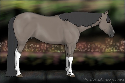 Horse Color:Grullo Sabino Tobiano 