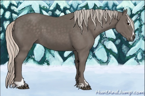 Horse Color:Silver Black Sabino 