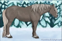 Horse Color:Silver Black Sabino 