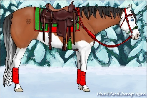 Horse Color:Bay Splash 